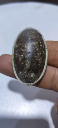 حجر • داوودي