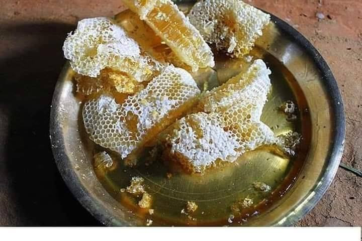 عسل طبيعي خالص
من إنتاج مناحلنا حصرا عسل طبيعي خالص أمانة الله ورسوله للحجز والاستفسار يرجى مراسلة الصفحه أو ترك رساله بالرقم والعنوان أو الإتصال على الرقم *********** علما أن التوصيل مجاني كذلك توجد خلايا نحل للبيع
