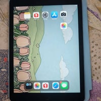 آيباد اير ٢ • ١٦ جيجا • البصرة