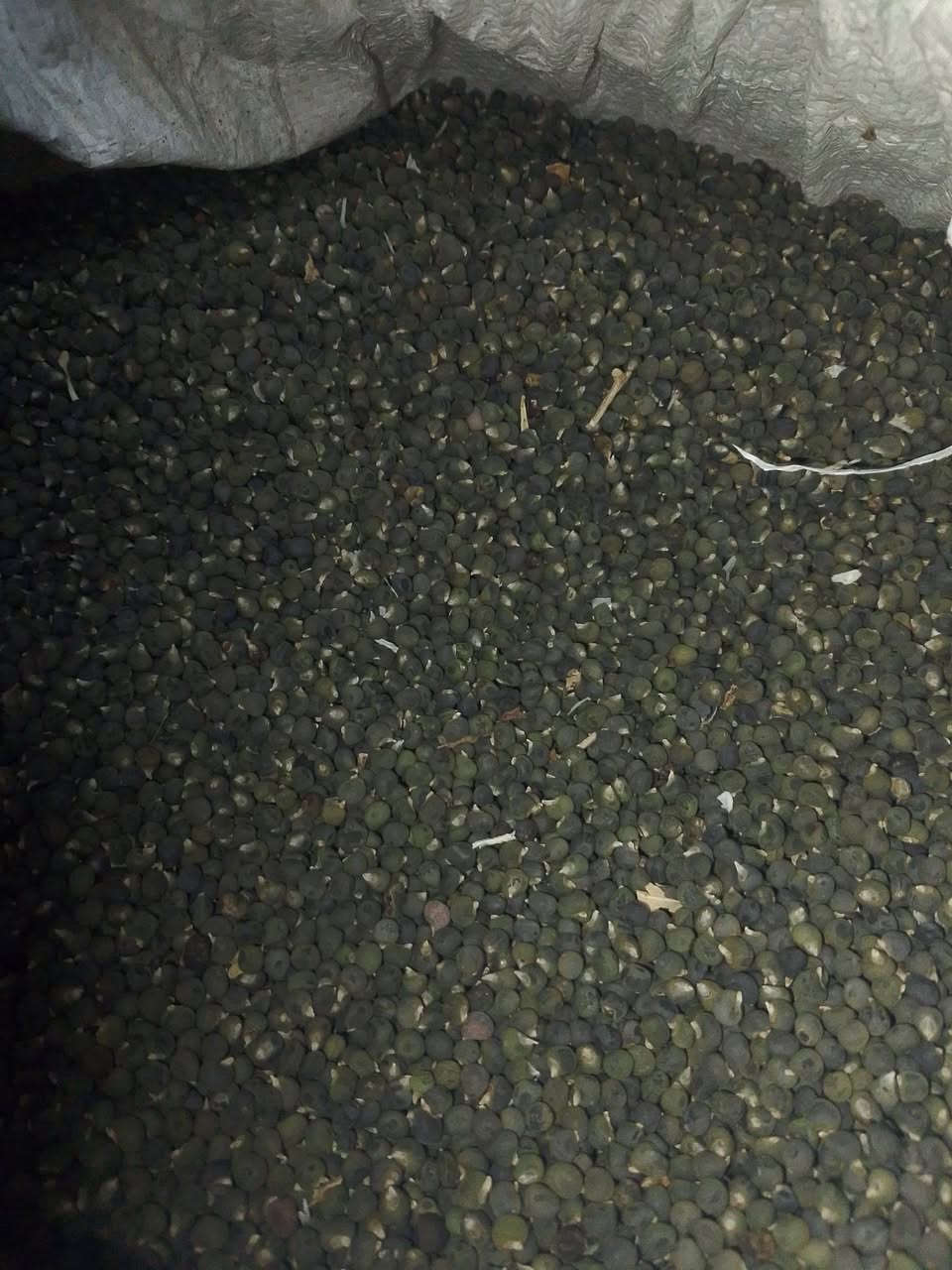 حاب بامي حسينوي وبغدادي  شرط السعر 20الف الكيلو***********
