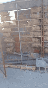 متاح
السلام عليكم يوجد للبيع قفصين واحد مال بلال والثاني 
يرهم للدجاج ويرهم للطيور  
العنوان هبهب  حي العسكري 
*********** /    /***********
