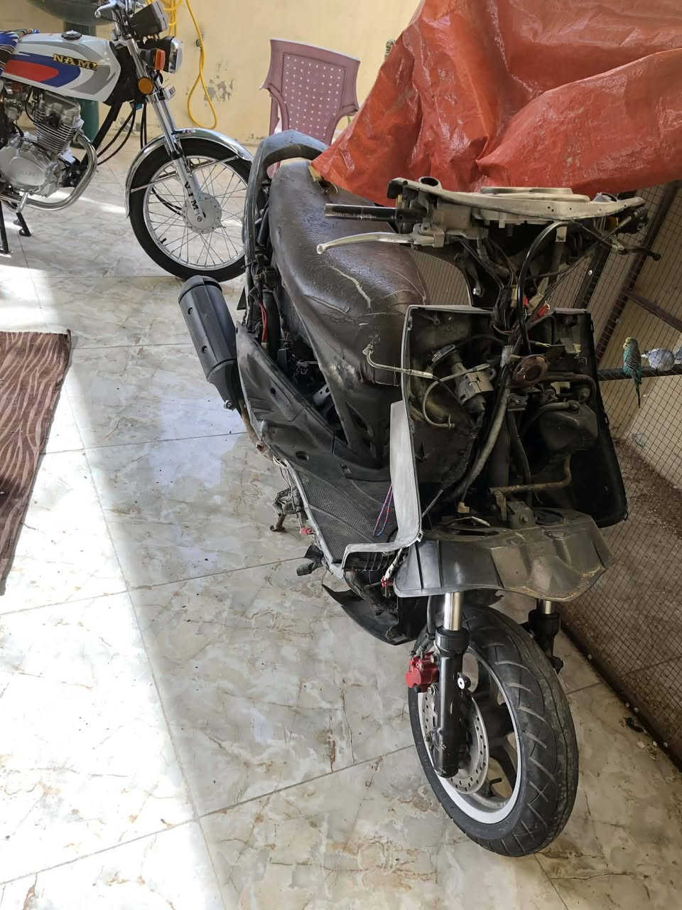 سكنس فحل للبيع عوزه ضفيره وتشتغل وعوزه كفرات بسعر ب200 مكان نجف


**إذا كنت صاحب هذا الإعلان وتريد حذفه لأي سبب، رجاءا أرسل رسالة إلى الدعم الفني**