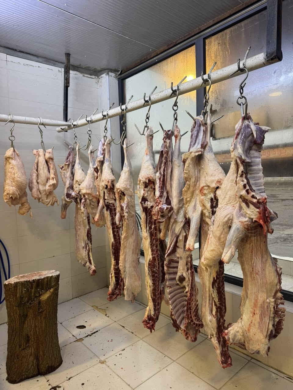 السلام عليكم
قصابة غزوان لحم طلي الكيلو ١٥ الف اللحم شرط 
العنوان العلم مقابل سيد الاسعار 
والف هلا ***********
