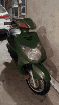 فحل للبيع مصبوغه لجماليه مكينه ٥٨شلعه ومعدل عنواني مدينه صدر ٥٥٠………..0...