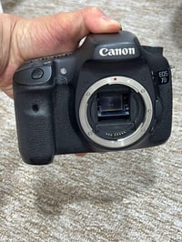 مراوس • ٦D • نتروس عادي