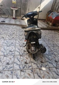 ماكس ثعلب • بنامه • مراوس