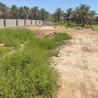 نصف دونم • الواجهة ١٦م • كربلاء الزبيليه