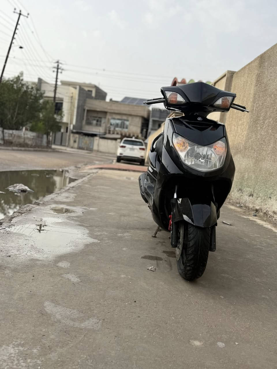 متاح سكنس فحل ياباني نوزل خطين قبغ نفخ استان حسان مكينة مكفولة خرسة ما ينسمع صوتها شلعة معدل خير من الله كهربائياتهة شغالةسلف هندر لايت اشاير هورن دشبول شغال ماشية 45 الف حقيقي اوراقهة موجودة سعرها 750 بغداد البياع ***********
