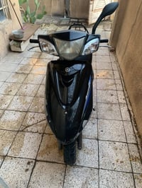 ببغاء • ١٤٠ • مامفتوح
