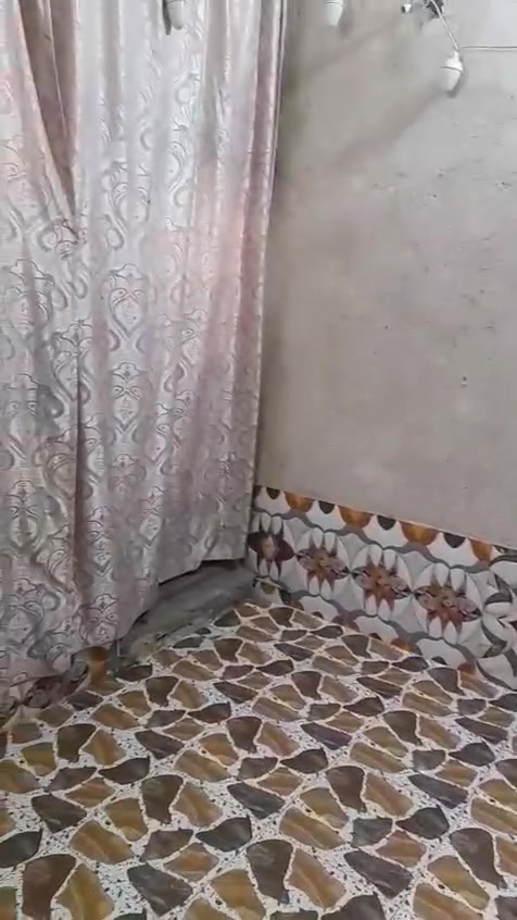 عندي بيت للبيع طويريج منطقة الكوي كافة الخدمات الرقم *********** المساحة ١٠٠متر
