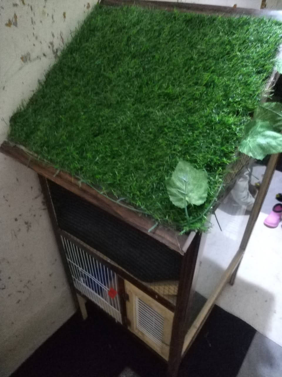 قفص السعر 25 عنوان موصل جانب الايسر حي انتصار ***********
