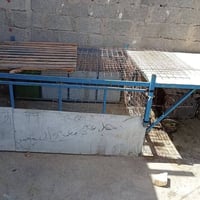 محجر ستوته • نضيف • حي الحكيم
