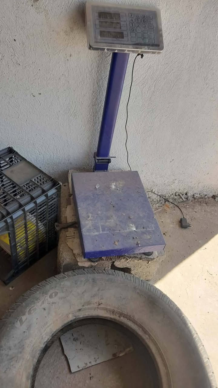 السلام عليكم هلاسة وميزان للبيع السعر 250 وبيهن مجال


**إذا كنت صاحب هذا الإعلان وتريد حذفه لأي سبب، رجاءا أرسل رسالة إلى الدعم الفني**