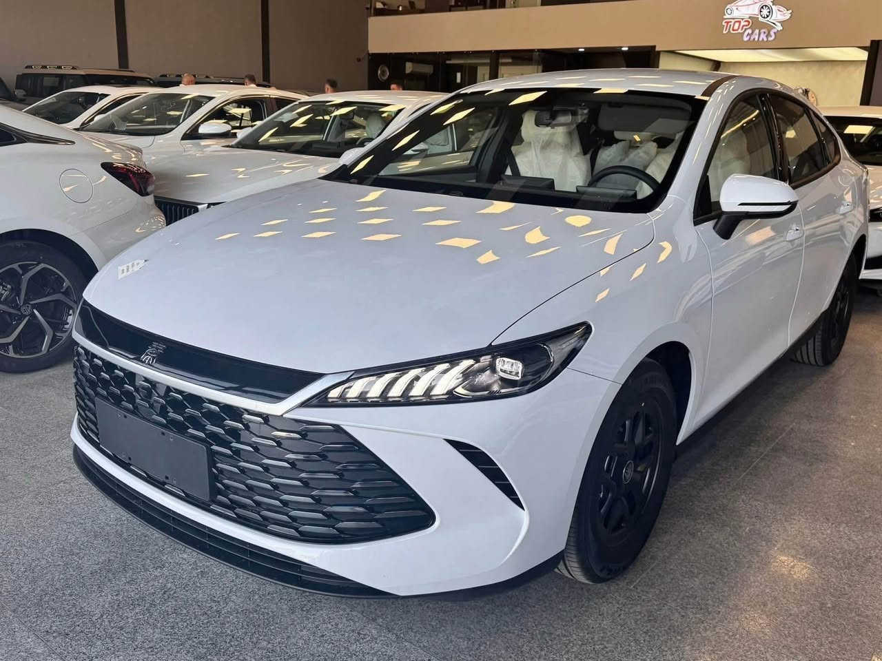 بي واي دي  BYD Qin plus 2025.   
مواصفات.کارەبایی و بەنزین و هایبريد.
بصمة شاشةوكاميرا ویل کەپ.
تحديد سورعه.ناو زه‌رد,پشت و پێش لید ڤۆلیۆم
 کارت و وایەر شحنی لەگەڵە.كەمترین
 سعر:خوار بازار  
مۆبایل *********** السليمانية, العراق
