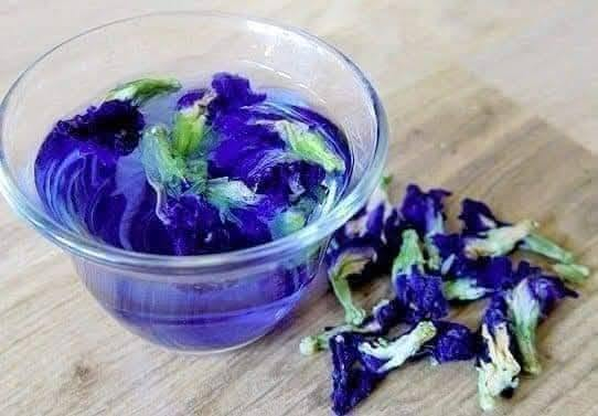 متاح لدينا بذورها بذور نبات ورد متسلق الشاي الأزرق دائمي لطلب والحجز واتساب
*********** السماوه أو مراسلة الصفحه يوجد خدمة توصيل طلبات داخل السماوه ولكافة المحافظات لباب البيت أنواع البذور الاستوائية النادره
