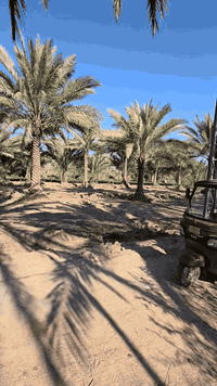 طويريج الاعيوج • دونم ٢٥٠٠م • سند ٢٥