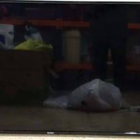 شاشة ٤٢بوصة • سونيك • مستعملة شهر