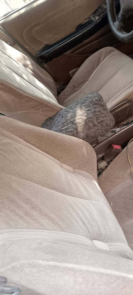 سياره مارك انبار سنويه كرتوني 12 طوبه وبيها مجال سياره م دوشمه سياره حلوه مرتبه اريد يخابرني على الخط انا خادم احكي له تفاصيلها


**إذا كنت صاحب هذا الإعلان وتريد حذفه لأي سبب، رجاءا أرسل رسالة إلى الدعم الفني**