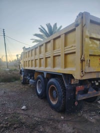 كرواتي • شاصي فرنسي • للبيع