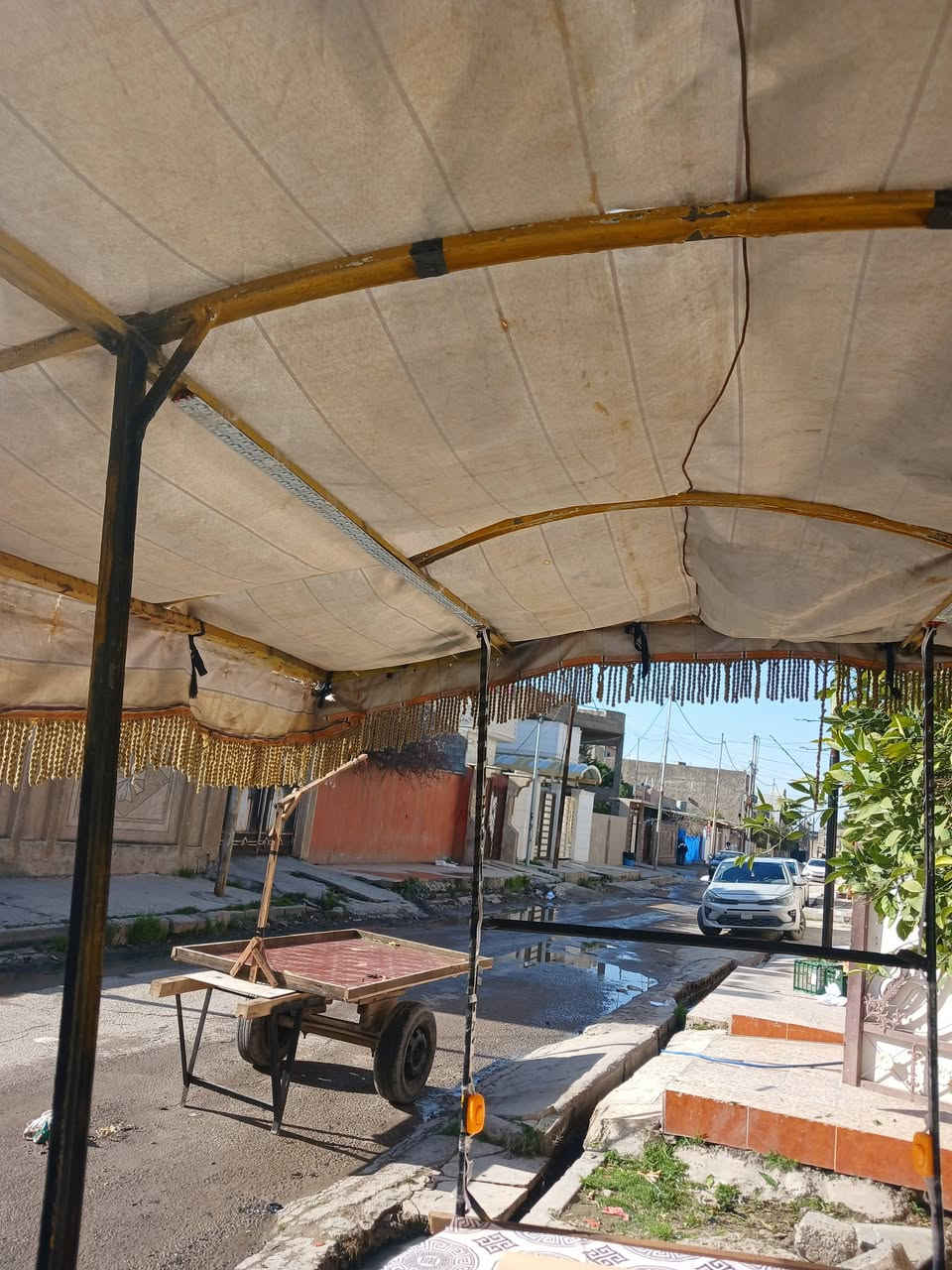 عربانه للبيع
***********
