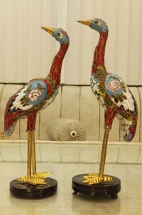 زوج كلزونية • نادرة • ٢٩ سم