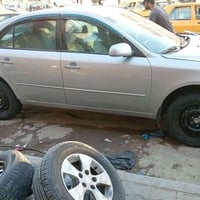 ويل ١٦ • عادي • مراوس