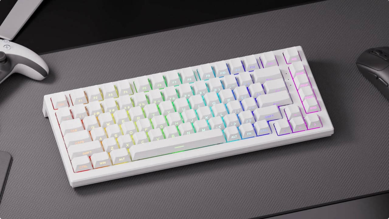 كيبورد Akko مغناطيسي
55 مع التوصيل


**إذا كنت صاحب هذا الإعلان وتريد حذفه لأي سبب، رجاءا أرسل رسالة إلى الدعم الفني**