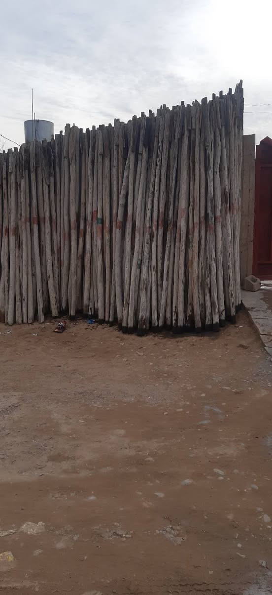 السلام عليكم يوجد دراسك طول ٣سعر زوج ب ٥ وبي مجال صلاح الدين بيجي ***********
