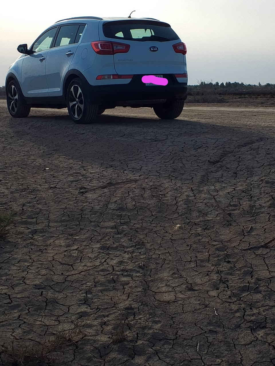 للبيع كيا سبورتاج 2014 شكل 16 مكفوله كفاله عامه رقم بغداد سياره جاهزه تخم تاير كوري قبل اسبوع شديته***********0
