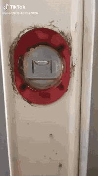 جزء بسيط من أعمال البخ بغداد فقط متفرغ حاليآ 07717651886