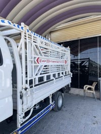 محجر • شغل مرتب • دعامية خلفية