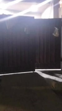 طابو زراعي • ١٠٠م • شارع المعهد