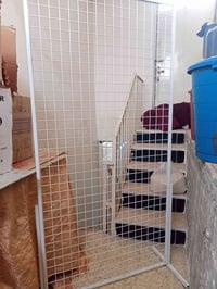 عارضه أحذيه • ١م×٢م • الانتصار شارع ٦٠