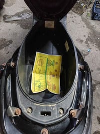 ثعلب • جديده • كفاله