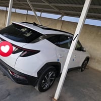 توسان ٢٠٢٣ • كفاله عامه • الكوت