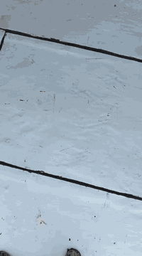 ايسوكام عازل • عزل حراري • ميسان