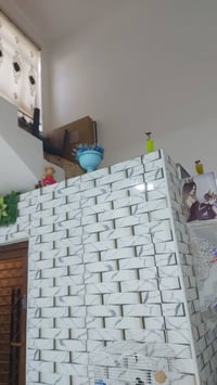 بيت • قرية البو جاسم • ١٨٠م