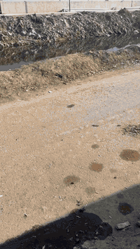 دار للبيع المساحه ١١٠ متر العنوان حي طارق  القديم  السعر ٤٠ وبي مجال ش...