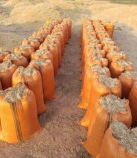 تبن نضيف • شليف ٦٠ • بلد الضلوعيه