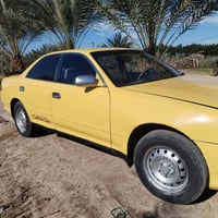 كفاله عامه • دواخل كارتون • ناصريه