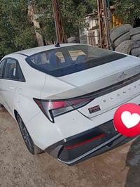 النترا • ٢٠٢٤ • مكفولة