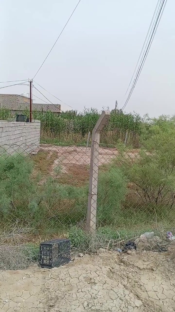 عدنا اراضي للبيع طابو ملك صرف مساحه ١٣٥٠ + ٣٠٠ طابو زراعي ديالى بعقوبه على شارع ٦٠ حي العبور ***********
