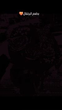 #سكارف_ميكاسا_ورد_طبيعي💐💐💐 ♥️  زبائننا يُرجى الحَجِز المُسبَـق  #youss...