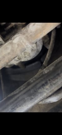 ماكس عدله • بوشة ٥٥ • حي السلام