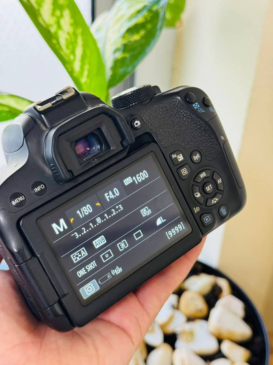 السلام عليكم 
Canon 800d  كاميرا  الجديده تمامآ 
معها  العدسه الأصليه  18-55    الشنته   الستراب  البطارية الأصلية  معه ثلاث بطاريات اصلية معه شاحن بطاريات منفذ تايبسي بسعر مغري جدآ.
لتواصل واتساب فقط *********** 

مواصفات الكاميرا :

- شاشة لمس متحركة 360درجة
- معالج جيل سابع DIGIC 7
- مستشعر بدقة 24.2
- نطاق الايزو 100-51200
- تصوير مستمر حتى 6 صور بالثانية
- تصوير فيديو FHD 60fps
- بطارية تكفي ل800 صورة تقريبا
- 45نقطة تركيز 
- تتبع تلقائي للوجة في تصوير الفيديو والصور
- واي فاي وبلوتوث لنسخ الصور للهاتف مباشرة
- إمكانية التحكم فيها عن طريق الموبايل  
- نظام تركيز تلقائي Dual Pixel CMOS AF
