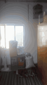 السلام عليكم دار للبيع طابو زراعي سند في زوير الغربية 25 يتكون المساحه113
مطبخ 450/350

كلدور 4/430

صاله401/530

غرفة نوم 40/410

منور 220/120

حمام 220/120 +حمام طابق ثاني نقص بس انارة

+درج بدون تطليك والبيتونه  سكف سندويج والصطح ع الكير 

السعر 70وبي مجال لستفار رقم ***********
