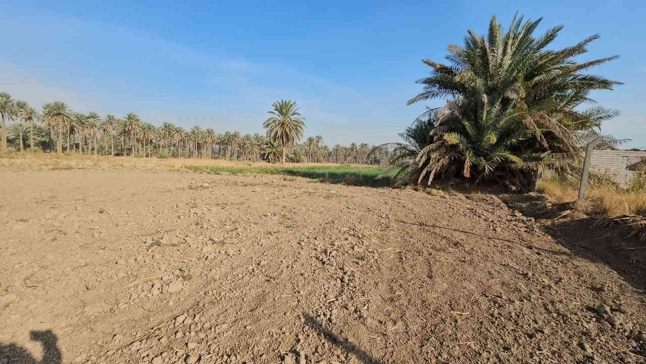 يا الله.... متابعينا الكرام >> الملاك للعقارات كربلاء 
💥بيع مستعجل.....بيع مستعجل __ السعر جدا مناسب 

🛑 3 دونم يباع منها دونم دونمين أو جميع المساحة 
🛑 جميع الخدمات متوفرة الشارع النازل لها 7 متر 
🛑 قرب مدرسة وجامع وعن التبليط 200 م تقريبا 
🛑 طابو زراعي سند 25 تحويل أسهم بالسند 
🛑 تبعد عن طريق الزوار شارع النجف عمود 1141 بمسافة كيلوين تقريبا وعن مركز المدينة 17 كيلو 
💲 سعر الدونم 80 مليون << هذا السعر لمدة محدده كون البيع مستعجل 
🎬 يوجد فيديوا بالتعلقيات يوضح كلشي 
🎬 يوجد فيديوا للراغب بالشراء من الأرض إلى الشارع العام 

💥 عنواننا 》مكتب أملاك الخير _ شارع الرابط _ قرب بساتين طيبة 
يمكنك الاتصال لمعرفة جميع التفاصيل والأفضل تأتي لمشاهدة الموقع والاقتناع وبخدمتكم 
       ***********  /   ***********
                   محمد أبو ملاك الحسناوي
