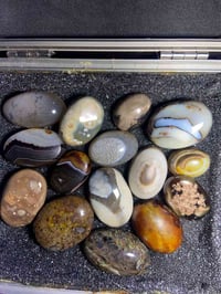 اعادة نشر • وعود كاذبة