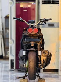 سكنس جبلي • فحل • ٢٠١٥