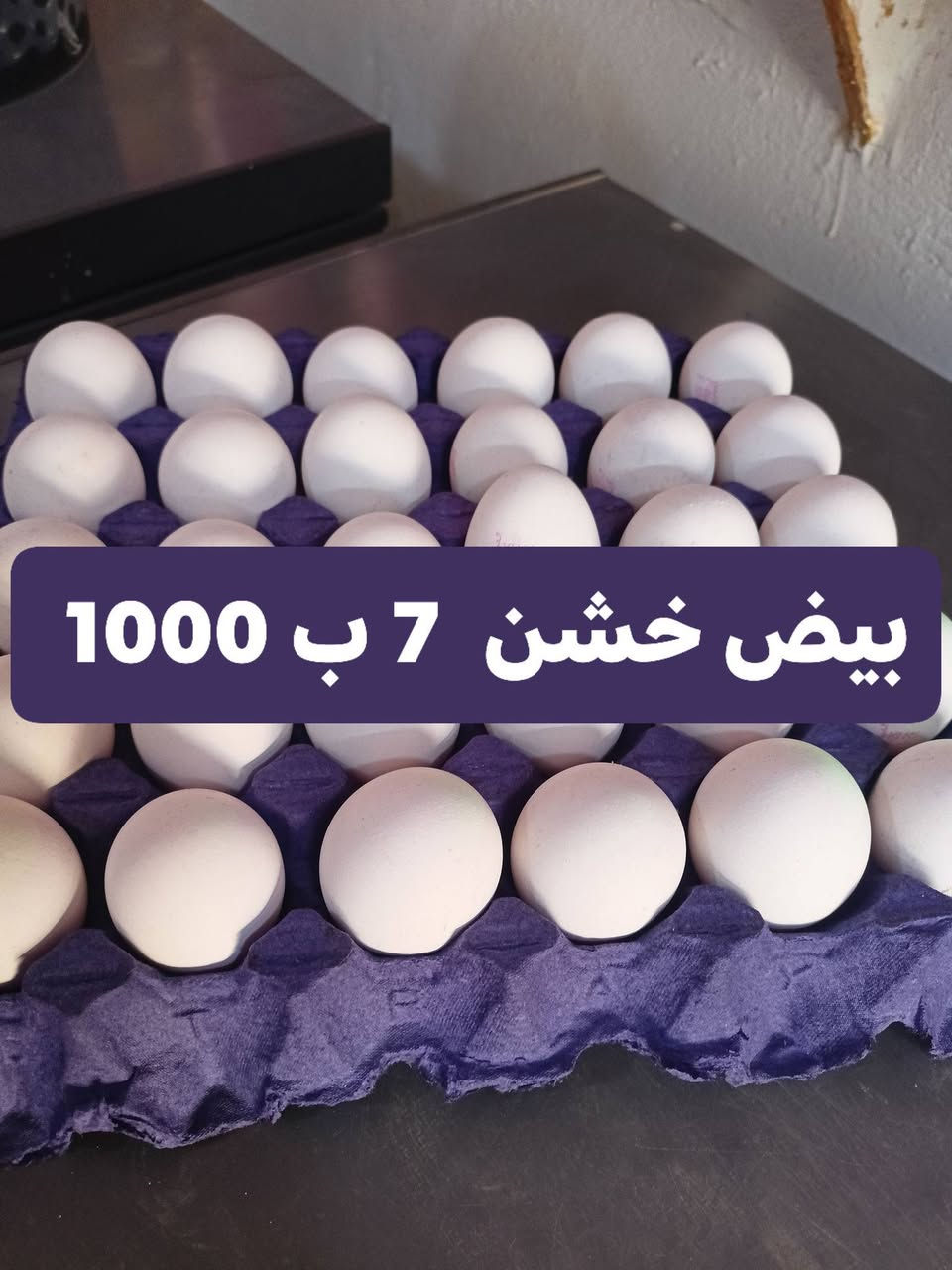 أسواق وعد حمادي  عرض جديد البيض


**إذا كنت صاحب هذا الإعلان وتريد حذفه لأي سبب، رجاءا أرسل رسالة إلى الدعم الفني**